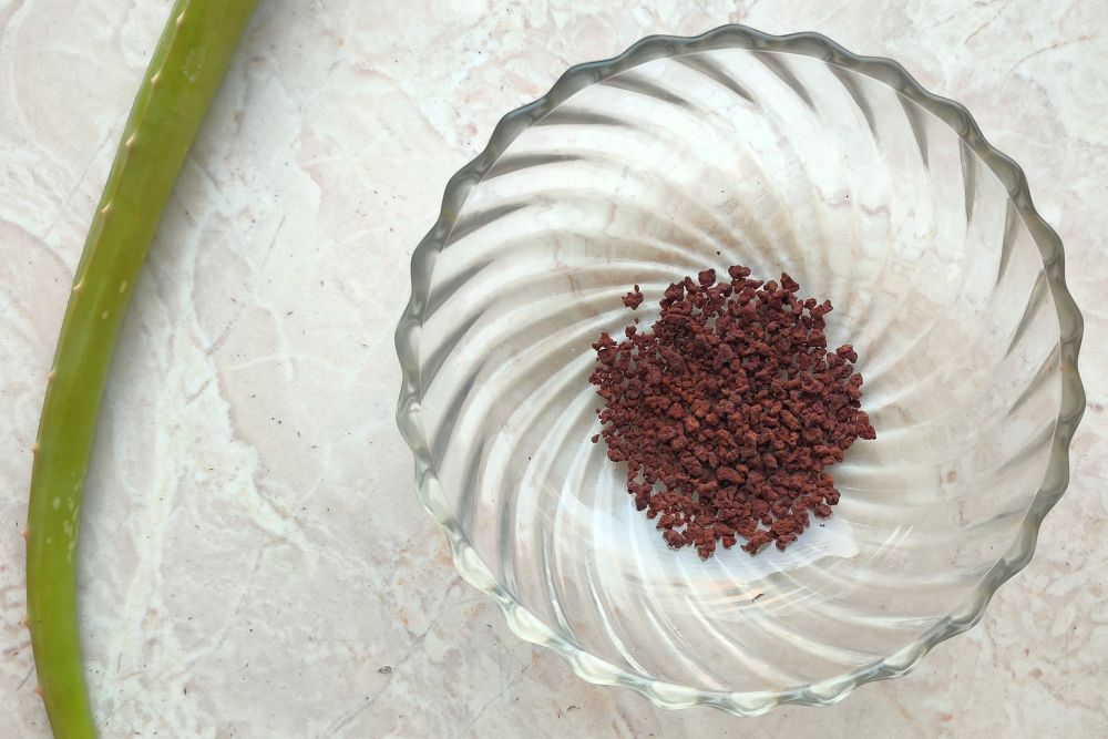 DIY Anti-Pollution Coffee and Aloe Vera Face Mask